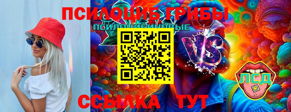 Псилоцибиновые грибы Psilocybine cubensis Семёнов