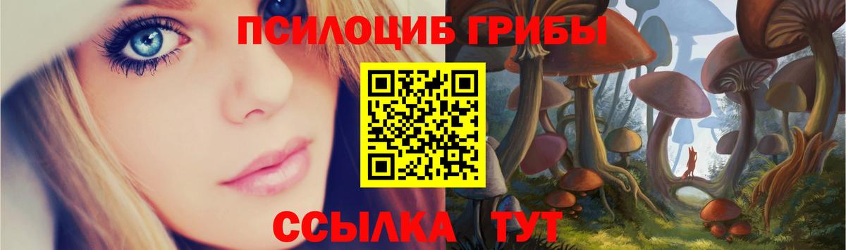 Семёнов  Псилоцибиновые грибы MAGIC MUSHROOMS  даркнет сайт  Вход с VPN 